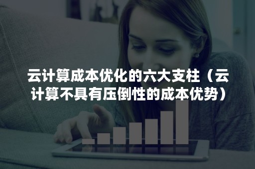 云计算成本优化的六大支柱（云计算不具有压倒性的成本优势）