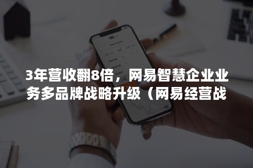 3年营收翻8倍，网易智慧企业业务多品牌战略升级（网易经营战略）