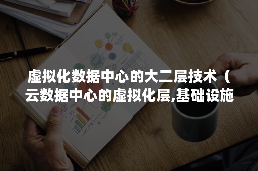 虚拟化数据中心的大二层技术（云数据中心的虚拟化层,基础设施）