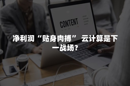 净利润“贴身肉搏” 云计算是下一战场？