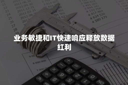 业务敏捷和IT快速响应释放数据红利