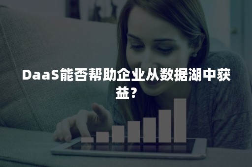 DaaS能否帮助企业从数据湖中获益？