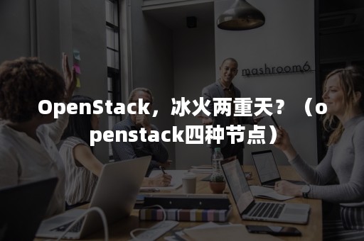 OpenStack，冰火两重天？（openstack四种节点）
