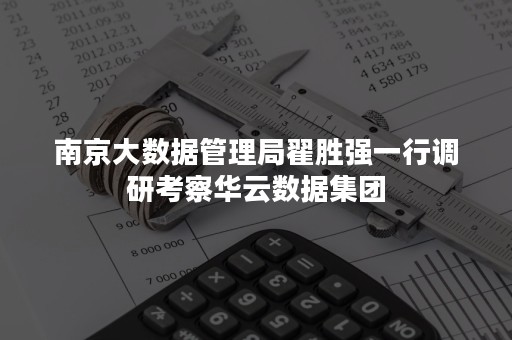 南京大数据管理局翟胜强一行调研考察华云数据集团