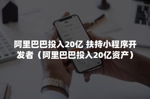 阿里巴巴投入20亿 扶持小程序开发者（阿里巴巴投入20亿资产）