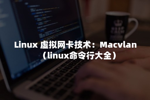Linux 虚拟网卡技术：Macvlan（linux命令行大全）