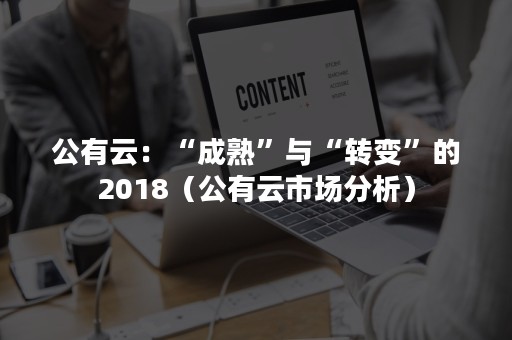 公有云：“成熟”与“转变”的2018（公有云市场分析）