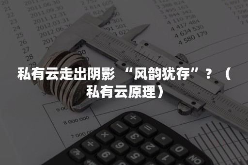 私有云走出阴影 “风韵犹存”？（私有云原理）