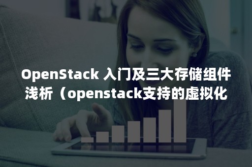 OpenStack 入门及三大存储组件浅析（openstack支持的虚拟化技术）