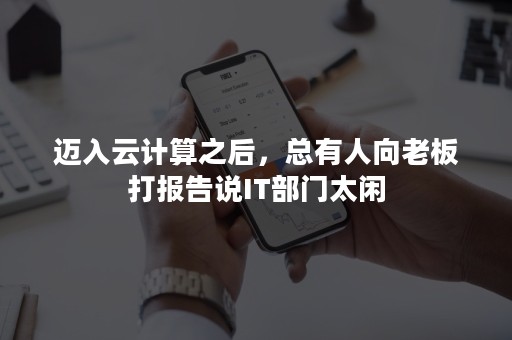 迈入云计算之后，总有人向老板打报告说IT部门太闲
