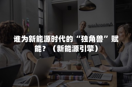 谁为新能源时代的“独角兽”赋能？（新能源引擎）