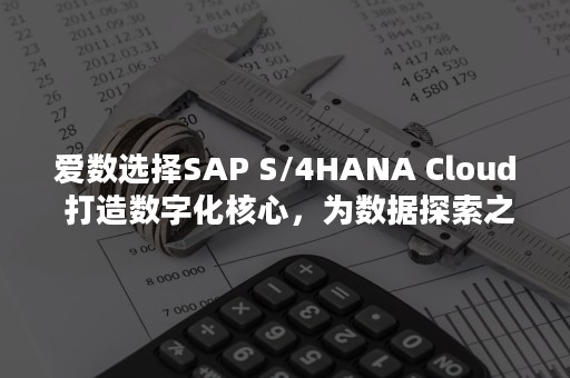 爱数选择SAP S/4HANA Cloud 打造数字化核心，为数据探索之路添加新动力（爱数爱-数学=数数）