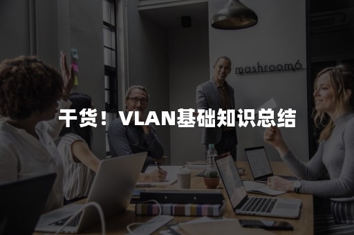 干货！VLAN基础知识总结
