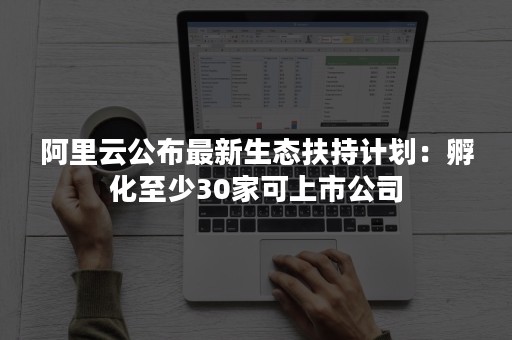 阿里云公布最新生态扶持计划：孵化至少30家可上市公司