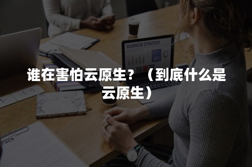 谁在害怕云原生？（到底什么是云原生）