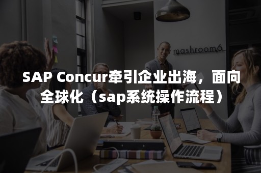 SAP Concur牵引企业出海，面向全球化（sap系统操作流程）