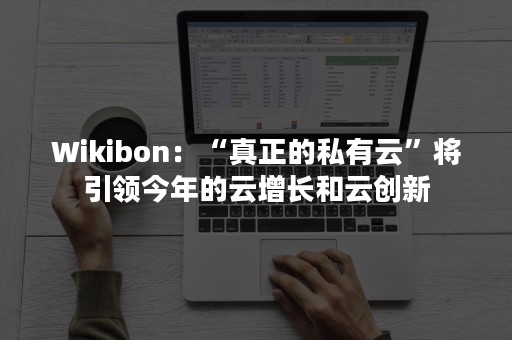 Wikibon：“真正的私有云”将引领今年的云增长和云创新