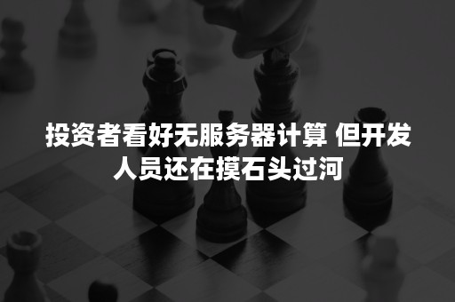 投资者看好无服务器计算 但开发人员还在摸石头过河