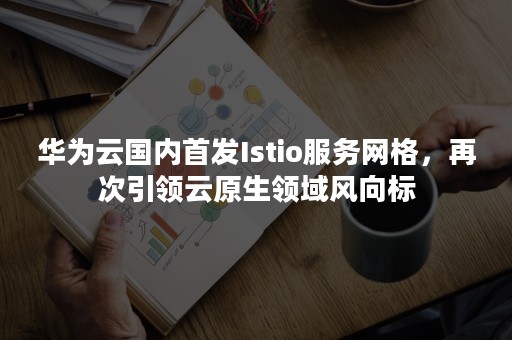 华为云国内首发Istio服务网格，再次引领云原生领域风向标