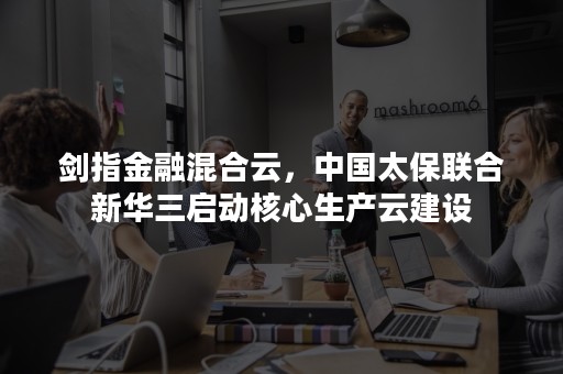 剑指金融混合云，中国太保联合新华三启动核心生产云建设