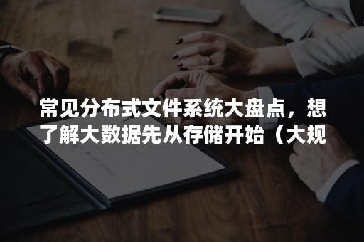 常见分布式文件系统大盘点，想了解大数据先从存储开始（大规模分布式存储系统 豆瓣）