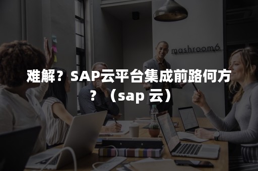 难解？SAP云平台集成前路何方？（sap 云）