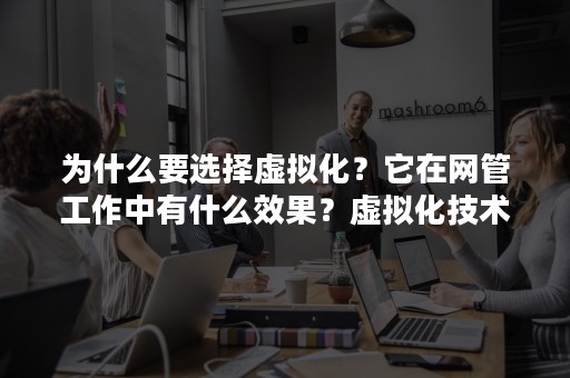 为什么要选择虚拟化？它在网管工作中有什么效果？虚拟化技术在各厂商的对比！