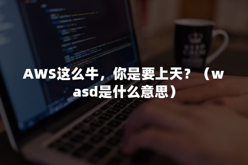 AWS这么牛，你是要上天？（wasd是什么意思）