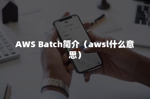 AWS Batch简介（awsl什么意思）