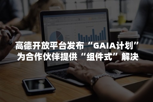高德开放平台发布“GAIA计划” 为合作伙伴提供“组件式”解决方案（高德API控制台）