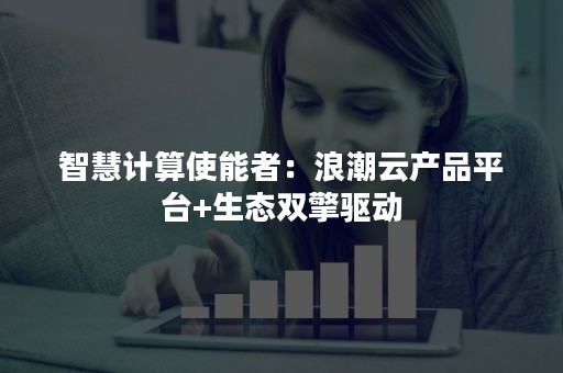 智慧计算使能者：浪潮云产品平台+生态双擎驱动