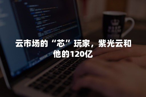 云市场的“芯”玩家，紫光云和他的120亿