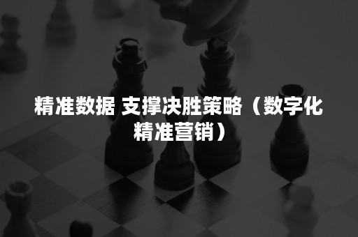 精准数据 支撑决胜策略（数字化精准营销）