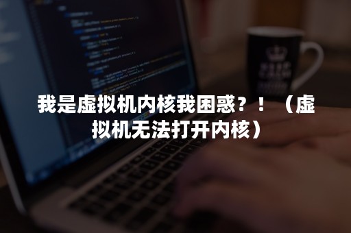 我是虚拟机内核我困惑？！（虚拟机无法打开内核）