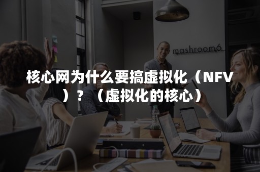 核心网为什么要搞虚拟化（NFV）？（虚拟化的核心）