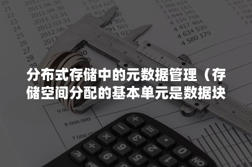 分布式存储中的元数据管理（存储空间分配的基本单元是数据块）