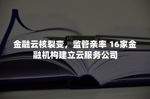 金融云核裂变，监管亲率 16家金融机构建立云服务公司