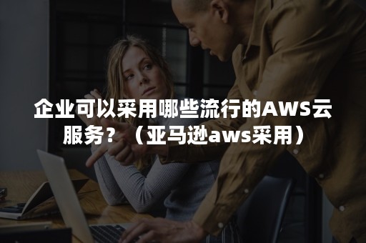企业可以采用哪些流行的AWS云服务？（亚马逊aws采用）