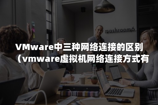 VMware中三种网络连接的区别（vmware虚拟机网络连接方式有几种）