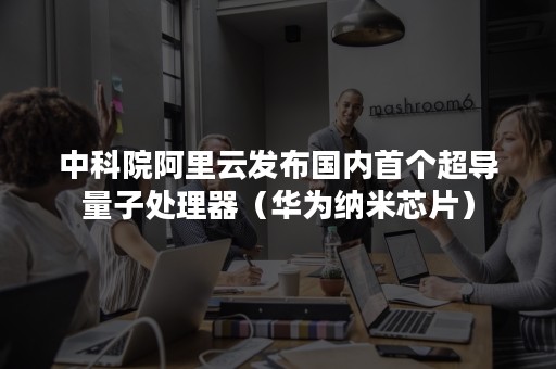 中科院阿里云发布国内首个超导量子处理器（华为纳米芯片）