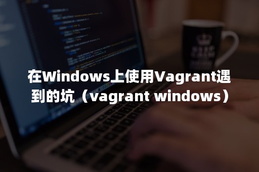 在Windows上使用Vagrant遇到的坑（vagrant windows）