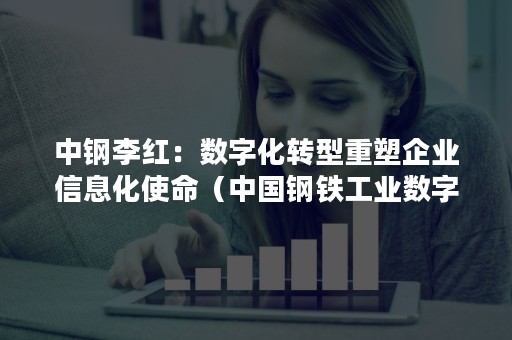 中钢李红：数字化转型重塑企业信息化使命（中国钢铁工业数字化解决方案高峰论坛）