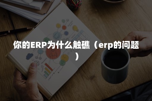你的ERP为什么触礁（erp的问题）