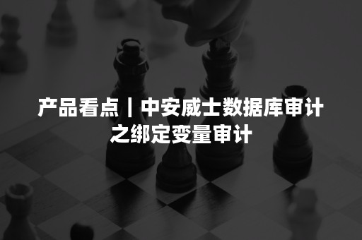 产品看点｜中安威士数据库审计之绑定变量审计