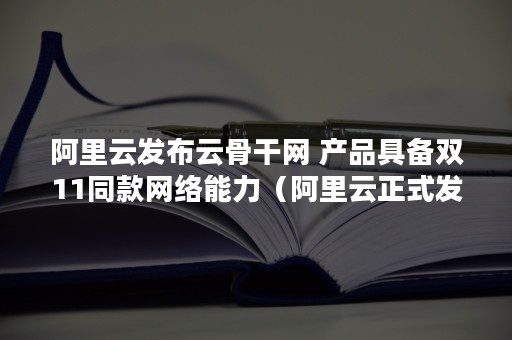 阿里云发布云骨干网 产品具备双11同款网络能力（阿里云正式发布）