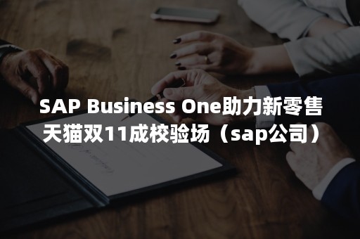 SAP Business One助力新零售天猫双11成校验场（sap公司）