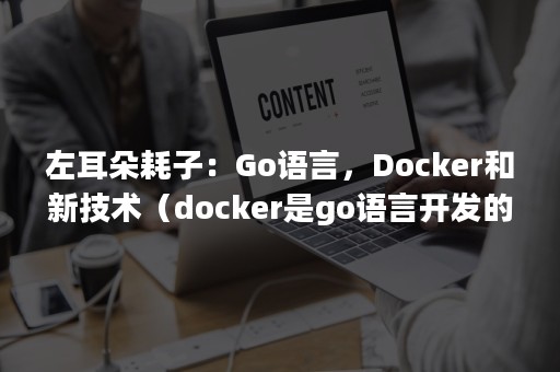 左耳朵耗子：Go语言，Docker和新技术（docker是go语言开发的吗）