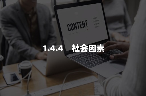 1.4.4　社会因素