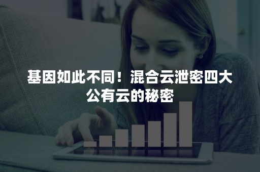 基因如此不同！混合云泄密四大公有云的秘密