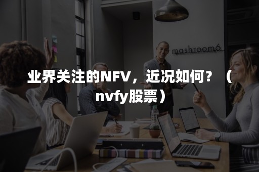 业界关注的NFV，近况如何？（nvfy股票）